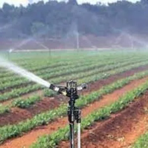 Automated Irrigation System