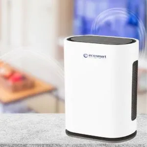 Residential Air Purifiers