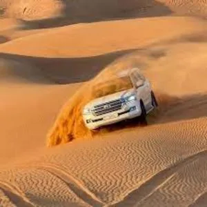 Thrilling Red Dune Desert Safari