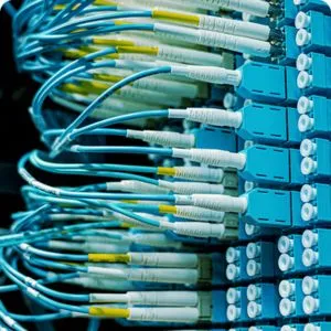 Structured Data Cabling Service