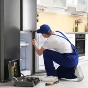 Professional Fridge Repair