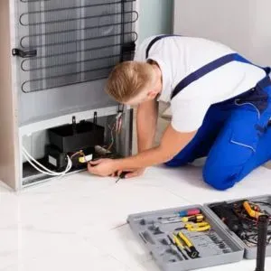 Professional Fridge Repair Services