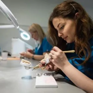 Orthodontics Dental Laboratory