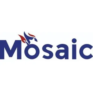 Mosaic Fire And Safety