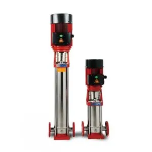 Alaman Jockey Pumps