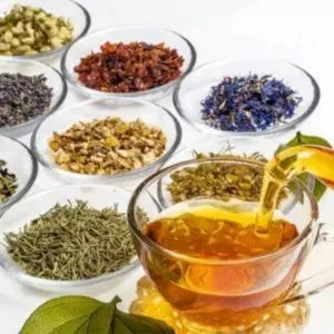 Herbal Tea Distributor