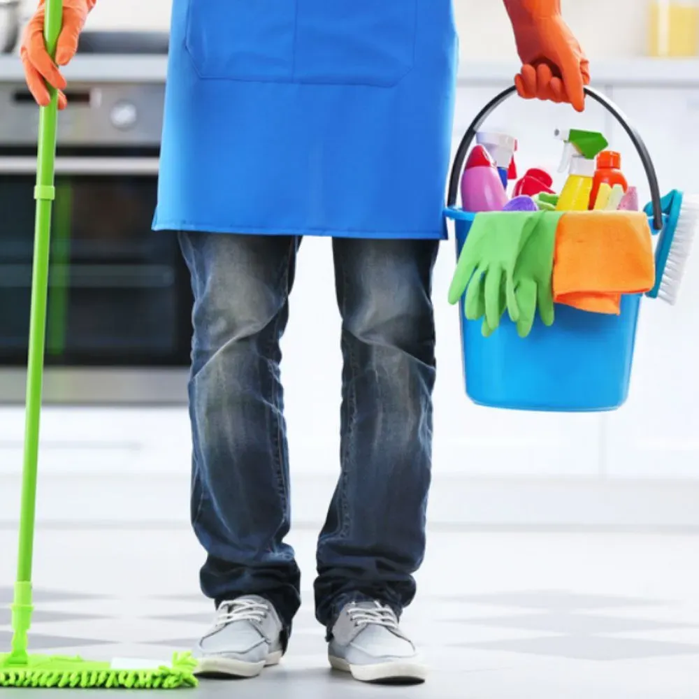 Professional Cleaning Services