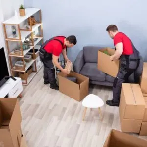 Domestic Packaging Services