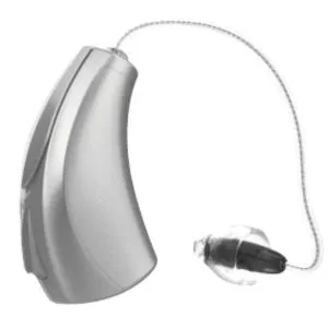 Receiver in The Canal Hearing Aid