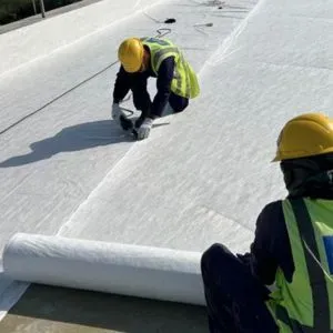 Roof Waterproofing Service