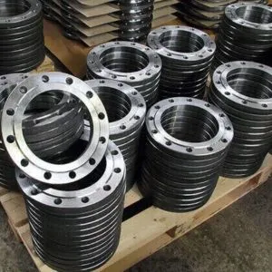 Hastelloy Flanges