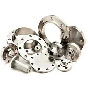 Stainless Steel Flanges