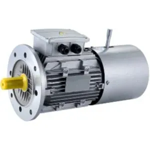 AC Break Motor