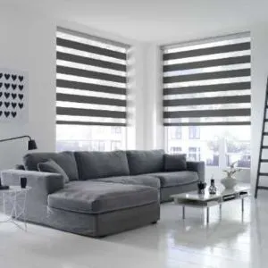 Zebra Blinds