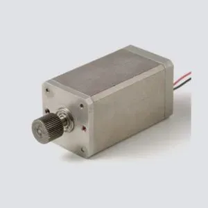 Brushed DC Motor