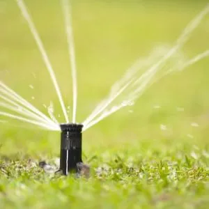 Rotor Sprinklers