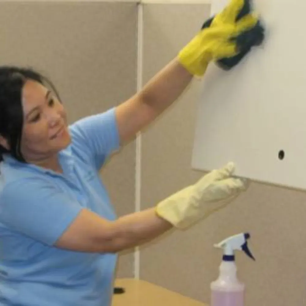 Hospital Housekeeping Services