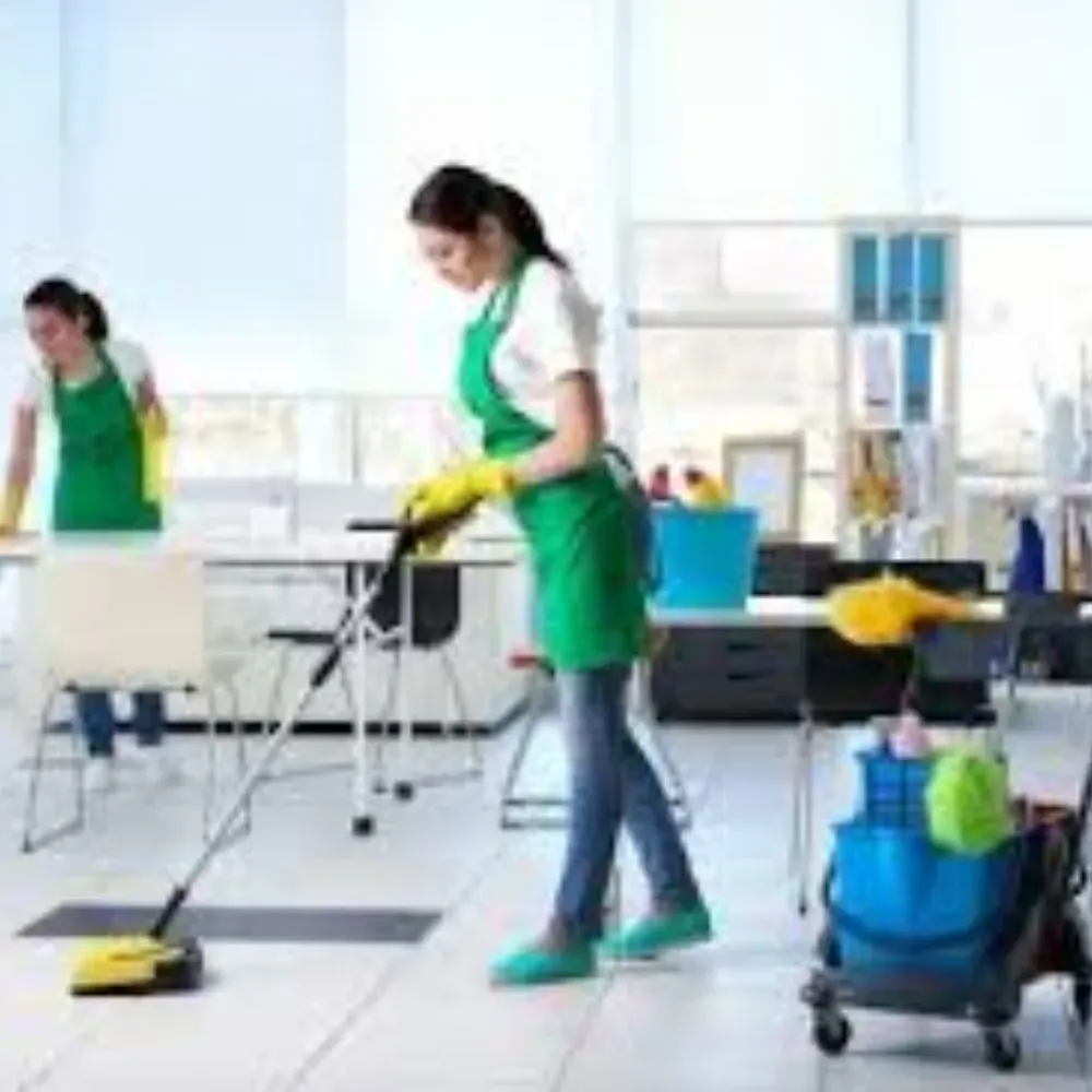 Professional Housekeeping Manpower Services