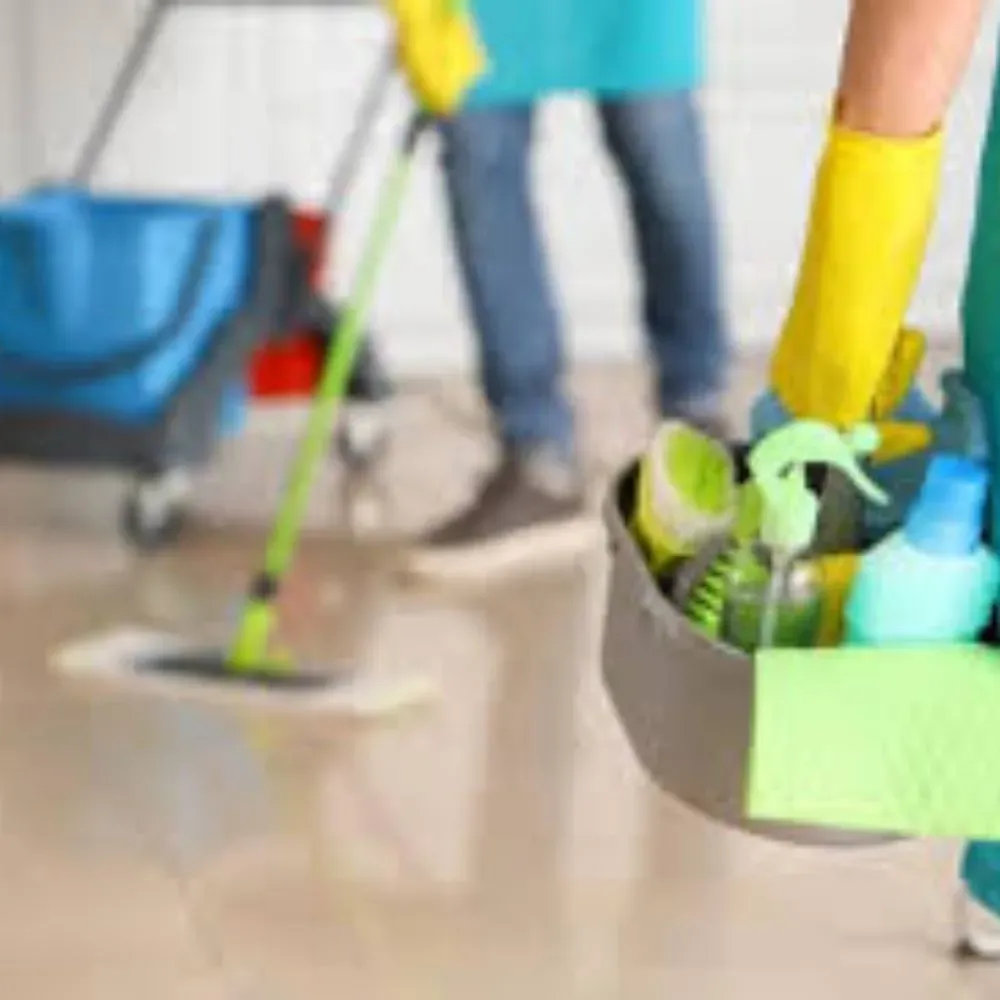 Professional Housekeeping Services