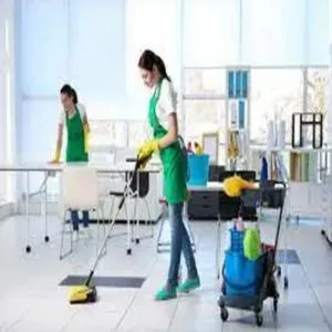 Monthly Cleaning Services