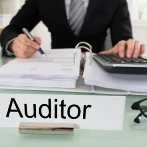 Auditors