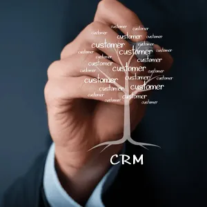 Customized CRM Software