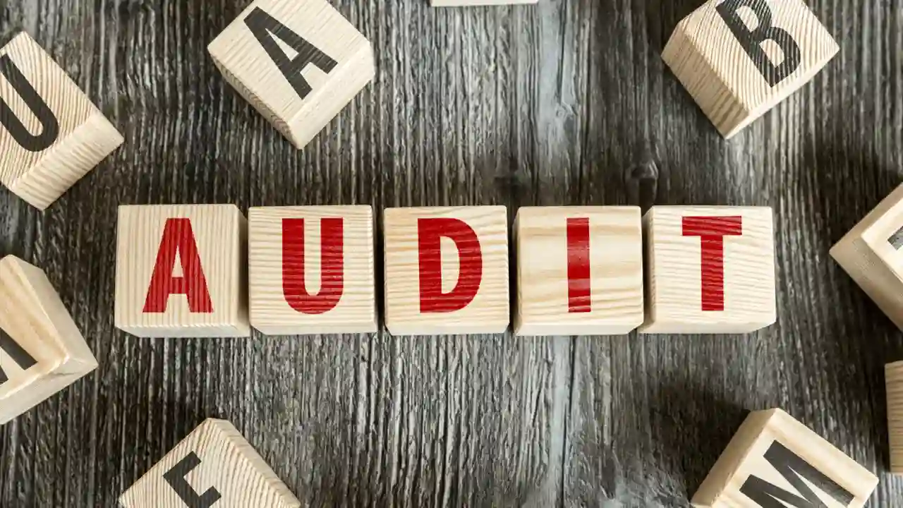 What is Auditing