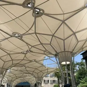 Tensile Structure