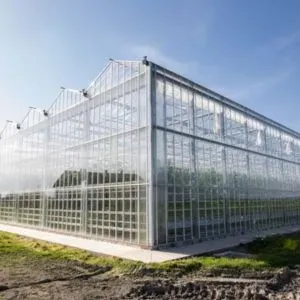 Commercial Greenhouse Structure