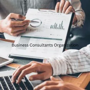 Business Consultants Organization