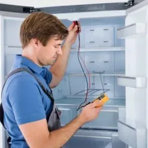 Door To Door Fridge Repair