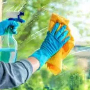 Regular Window Cleaning Services