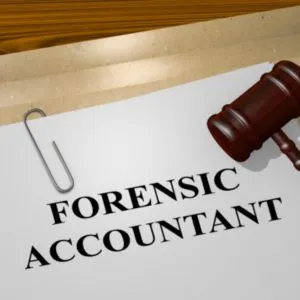 Forensic Accountants