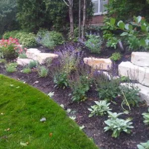 Landscaping Contractor