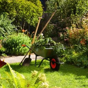 Lawn and Garden Maintenance Services