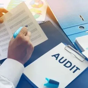 Recovery Audit Services