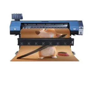 Eco Solvent Printer