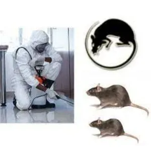 Rodent Control Services