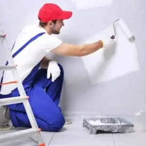 Professional Wall Painting Service