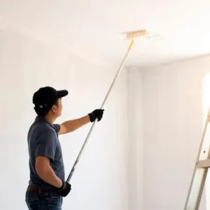 Walls And Ceiling Painting Services