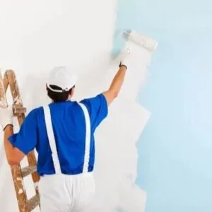 Glossy Finish Wall Painting Services