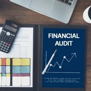 Financial Audit Services