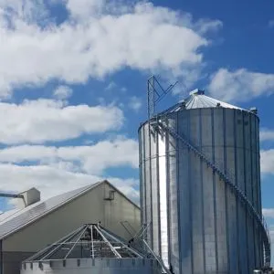 Silos For Grain Storage And Processing