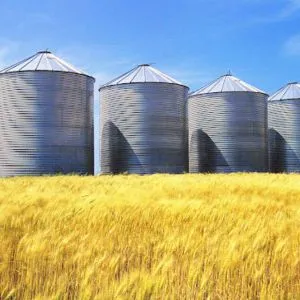 Grain Silos