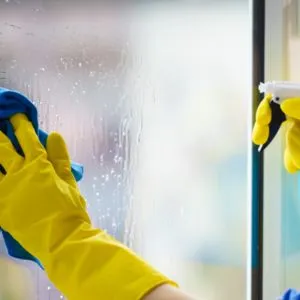 Complete Window Cleaning Services