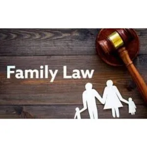 Family Lawyer